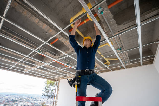 Best Residential Plumbing Services  in Plainview, MN